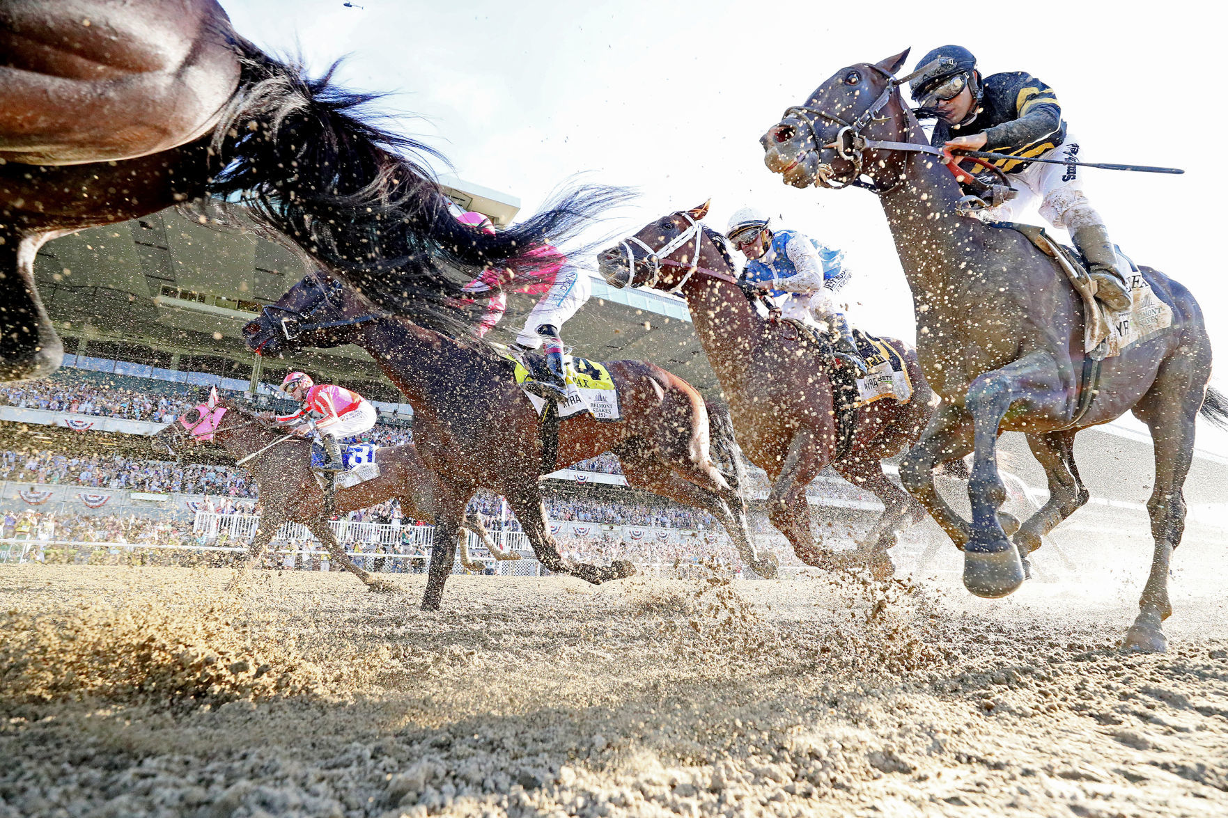 3. Which horses might upset Tiz the Law at Belmont Park?